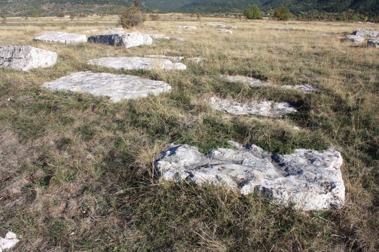 Nekropole sa stećcima na lokalitetima Lipa I, II i III u Lipi, historijsko područje